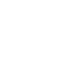 VFX Texture